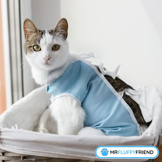 was kostet eine hundekastration