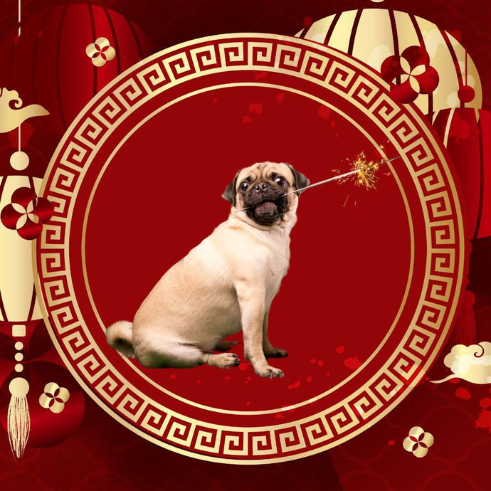 Chinesisches Neujahrs-Futterrezepte für Haustiere