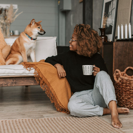 Mein neuer Hund zieht ein: Was nun?