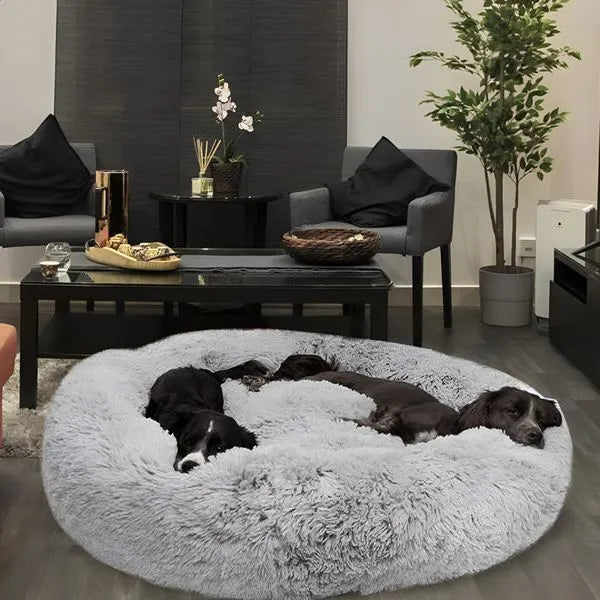 Tierärzte enthüllen: Mit diesem Bett schläft dein Hund wie ein Welpe (ohne Medikamente)