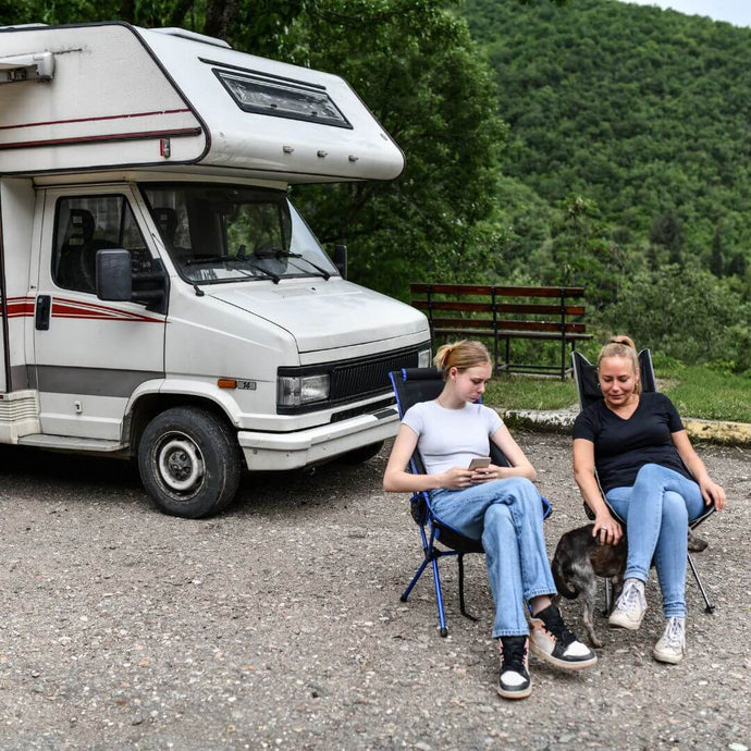 Die beste Hunderasse für das Vanlife