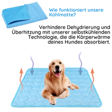 Lade das Bild in den Galerie-Viewer, Ein Golden Retriever sitzt fröhlich auf einer blauen Kühlmatte – nimmt Körperwärme auf und schützt vor Überhitzung.
