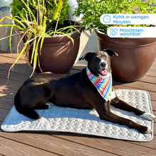 Lade das Bild in den Galerie-Viewer, Schwarzer Hund chillt draußen in der Sonne und kühlt sich auf einer Kühlmatte ab

