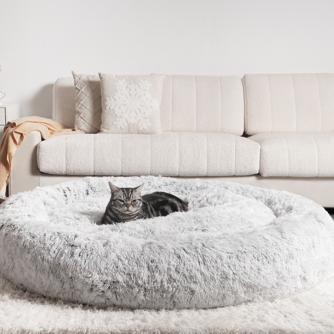 MrFluffyFriend™ - Das beste Anti-Angst Katzenbett