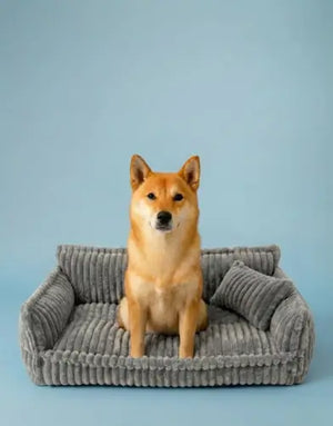 Photo of Orthopädisches Hundesofa