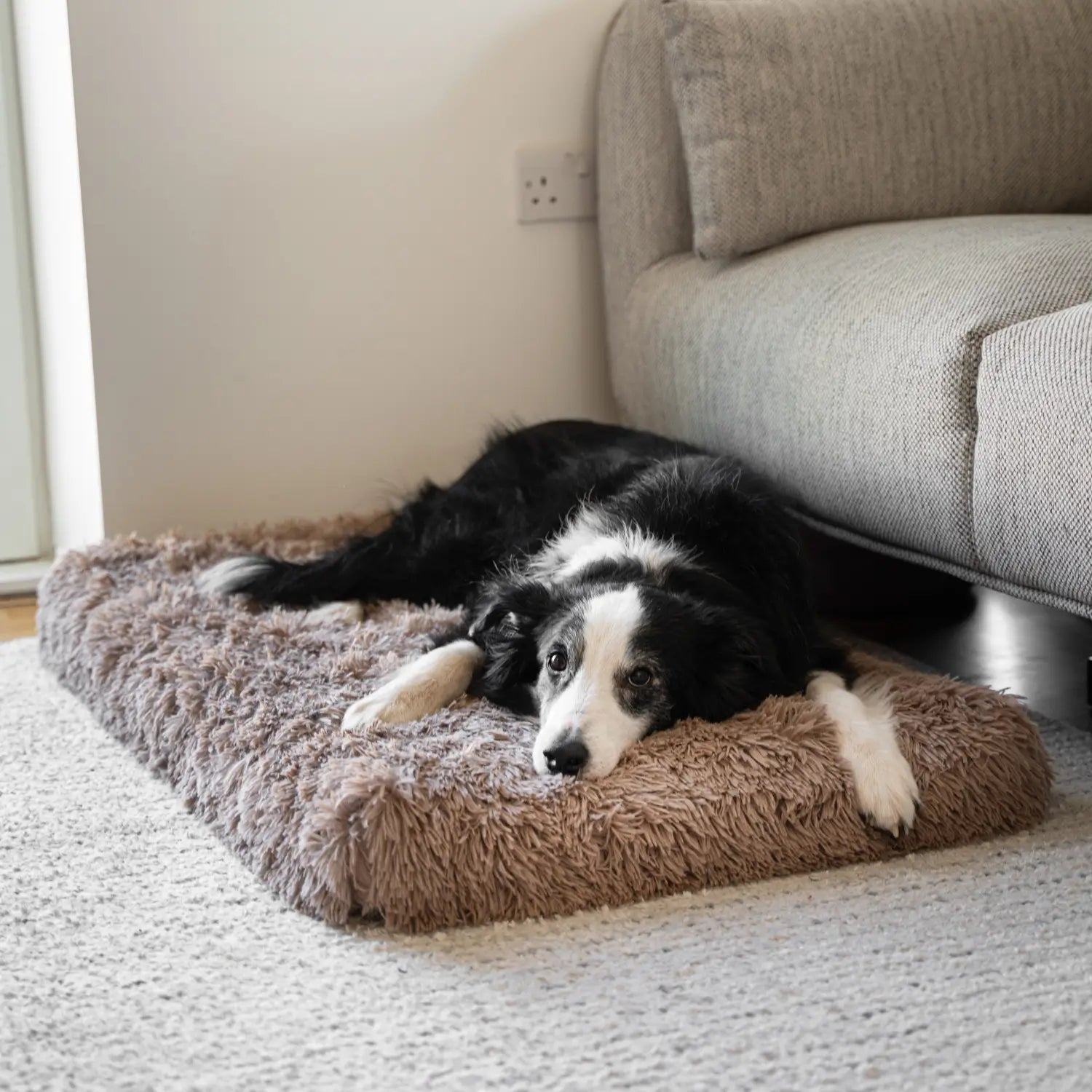 MrFluffyFriend – Waschbares orthopädisches Hundekissen