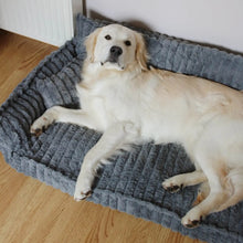 Lade das Bild in den Galerie-Viewer, MrFluffyFriend™ - Orthopädisches Waschbares Hundesofa
