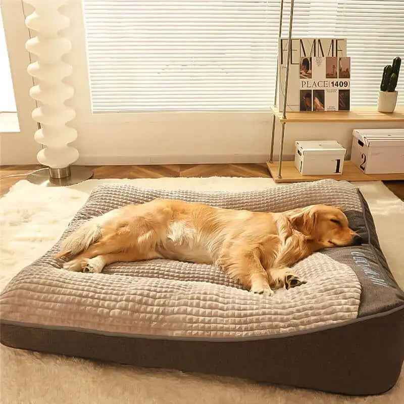 Ein Golden Retriever schläft zufrieden auf einem weichen, beruhigenden Hundekissen